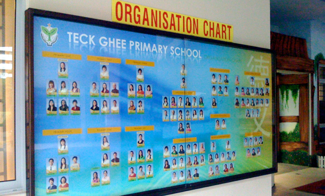 Organizational Chart Display